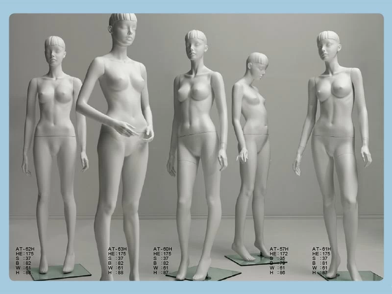 有頭型 女模特兒/假人